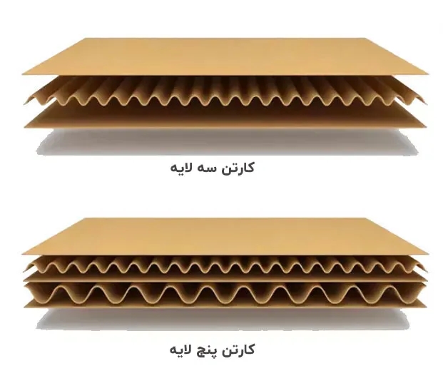 کارتن