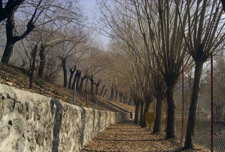 گشت و گذاری دلنشین در کلکچال